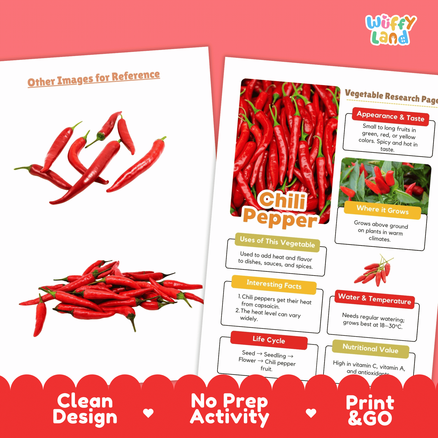 Chili Pepper Research Activity Worksheet Science Vegetable Gardening Spicy Food