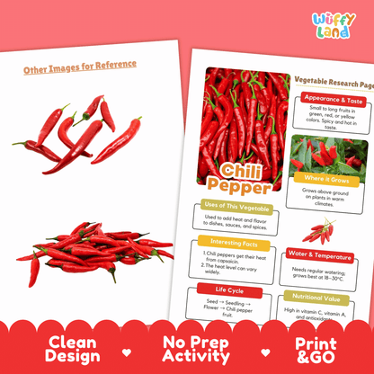 Chili Pepper Research Activity Worksheet Science Vegetable Gardening Spicy Food