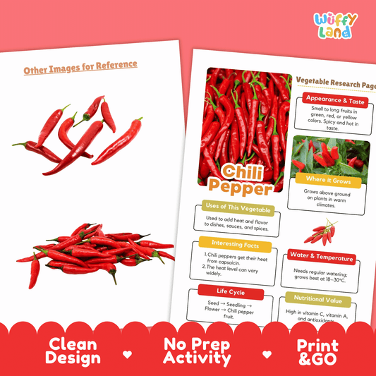 Chili Pepper Research Activity Worksheet Science Vegetable Gardening Spicy Food