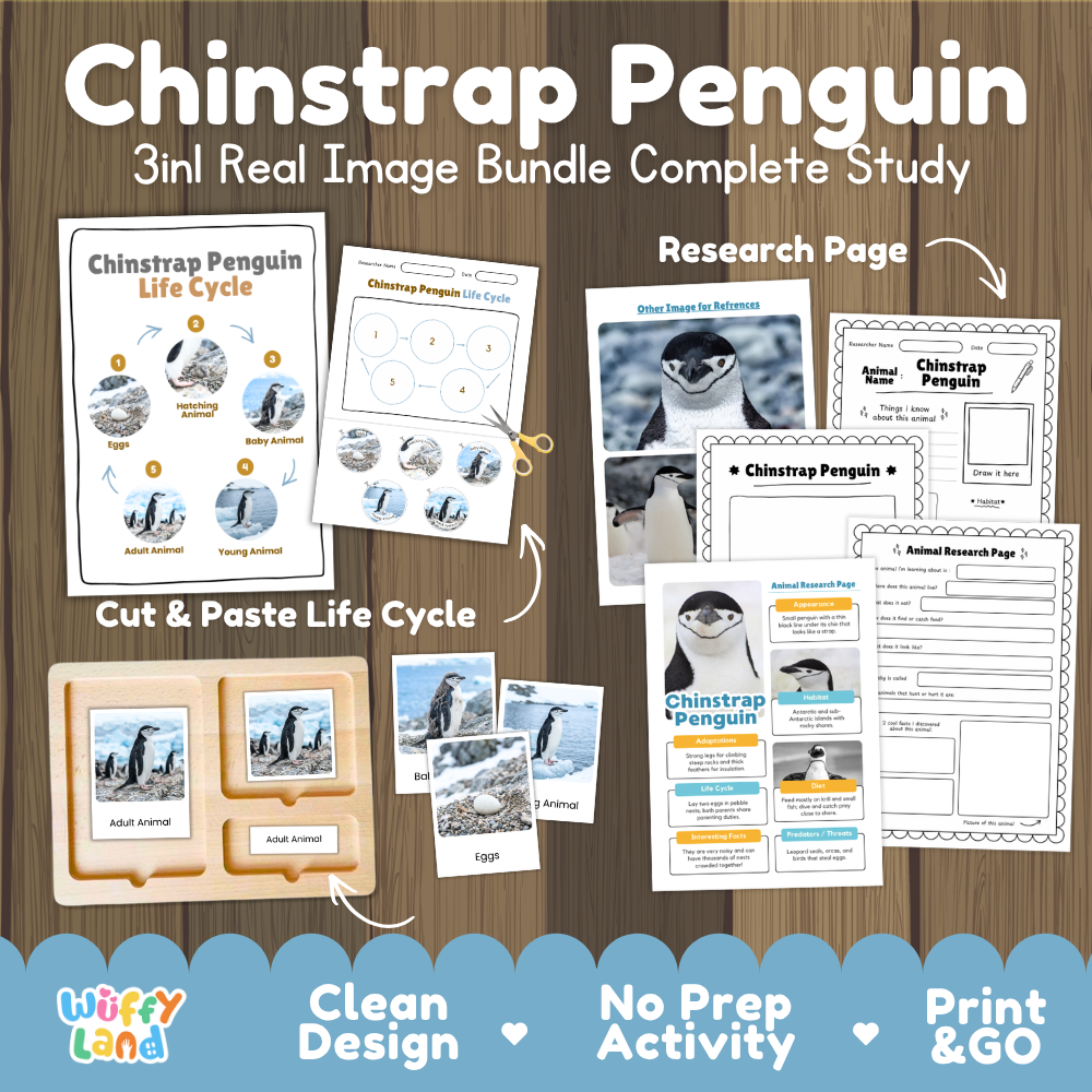 Chinstrap Penguin 3-in-1 real image bundle complete study cover showing cut and paste life cycle, 3 part cards, and research pages