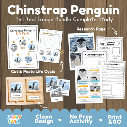 Chinstrap Penguin 3-in-1 real image bundle complete study cover showing cut and paste life cycle, 3 part cards, and research pages