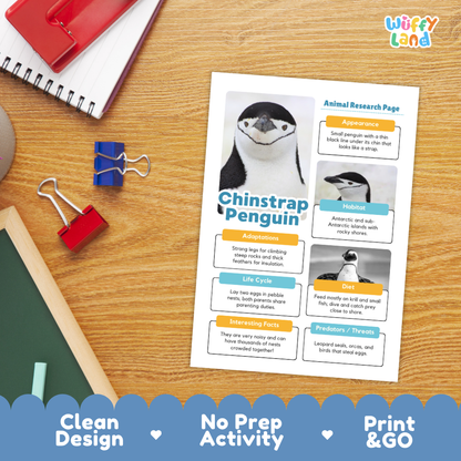 Chinstrap Penguin Animal Research Page Worksheets