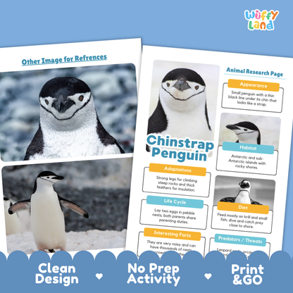 Chinstrap Penguin Animal Research Page Worksheets