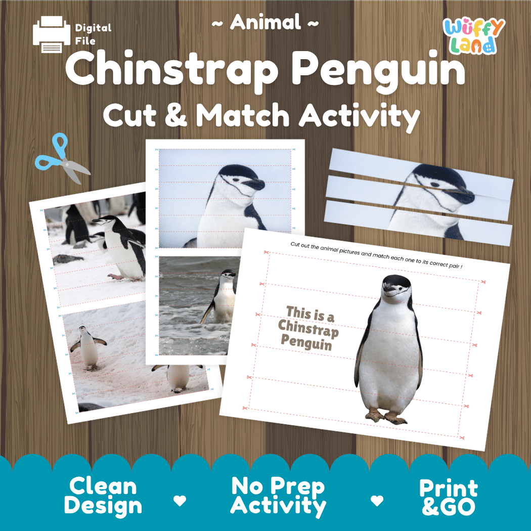Chinstrap Penguin Cut and Match Activity Worksheets