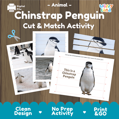 Chinstrap Penguin Cut and Match Activity Worksheets