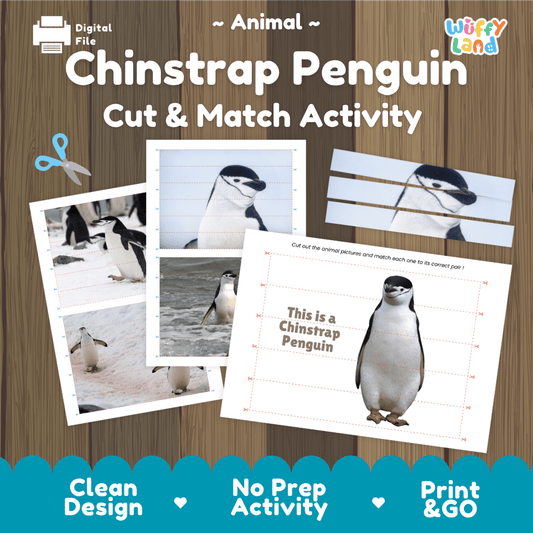 Chinstrap Penguin Cut and Match Activity Worksheets