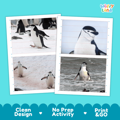 Chinstrap Penguin Cut and Match Activity Worksheets