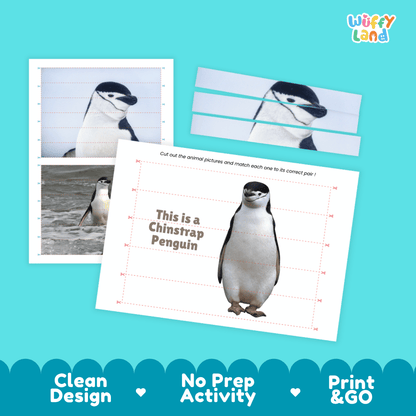 Chinstrap Penguin Cut and Match Activity Worksheets