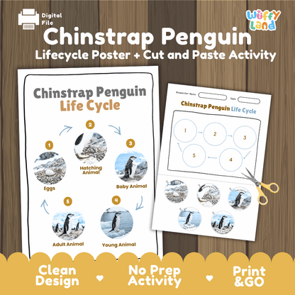Chinstrap Penguin Life Cycle Poster and Cut and Paste Worksheet Activity