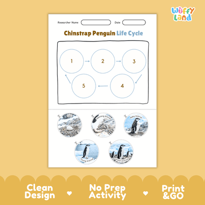 Chinstrap Penguin Life Cycle Poster and Cut and Paste Worksheet Activity