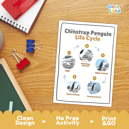 Chinstrap Penguin Life Cycle Poster and Cut and Paste Worksheet Activity