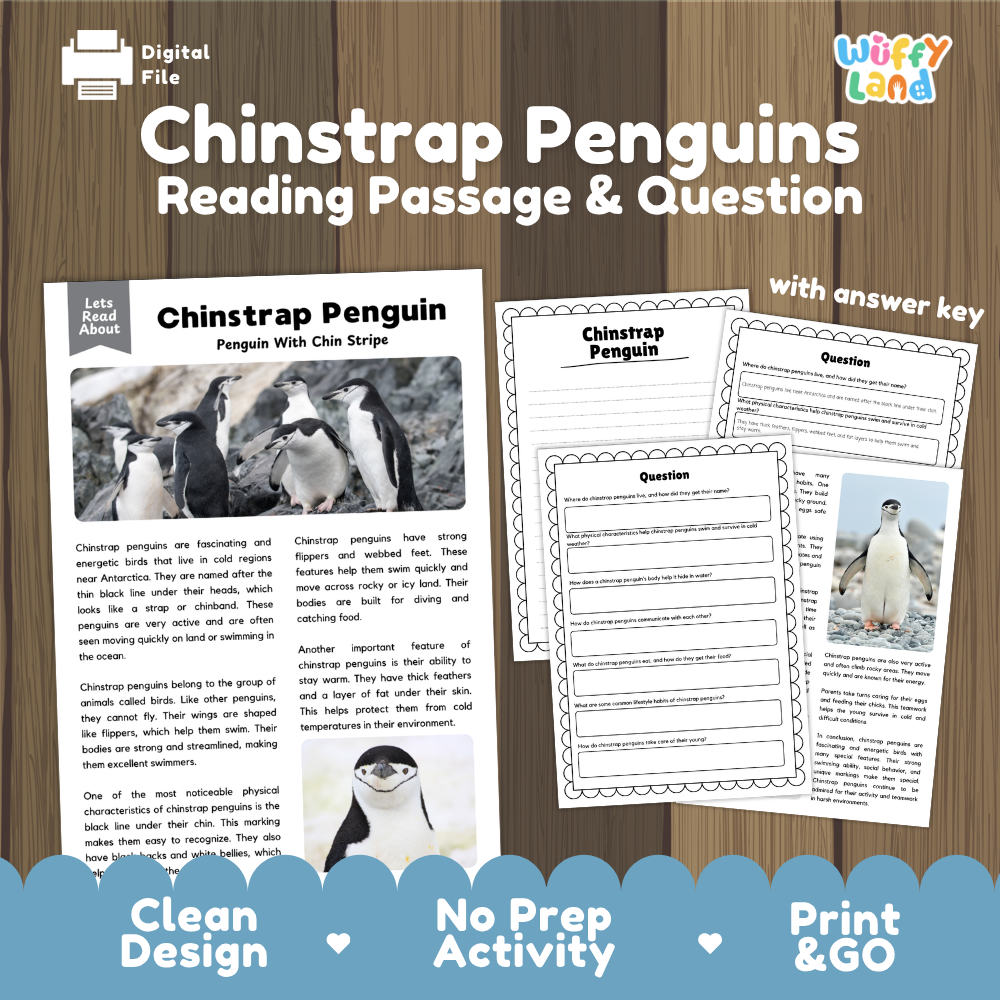 Chinstrap Penguins Reading Passage and Questions Worksheets with Answer Key
