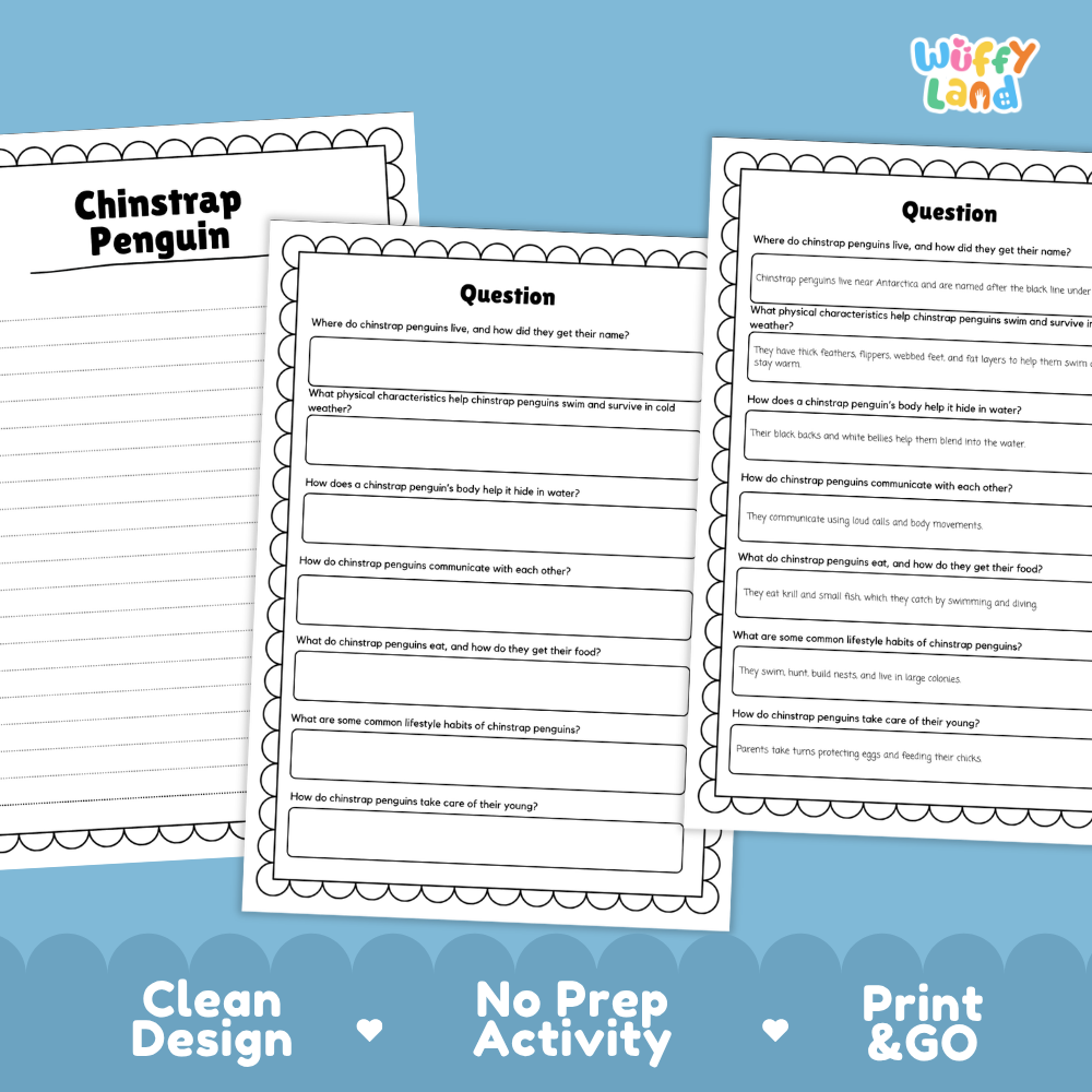Chinstrap Penguins Reading Passage and Questions Worksheets with Answer Key