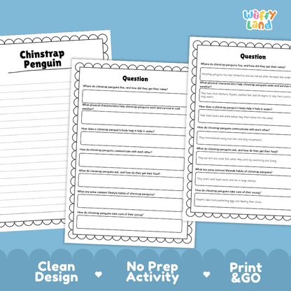 Chinstrap Penguins Reading Passage and Questions Worksheets with Answer Key