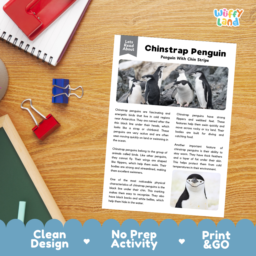 Chinstrap Penguins Reading Passage and Questions Worksheets with Answer Key