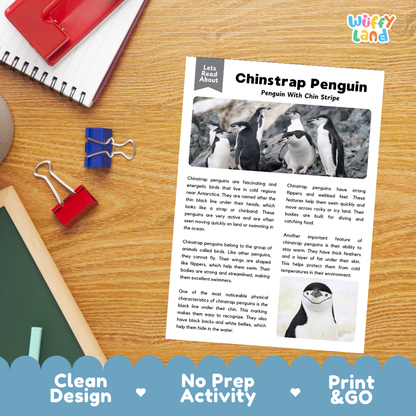 Chinstrap Penguins Reading Passage and Questions Worksheets with Answer Key
