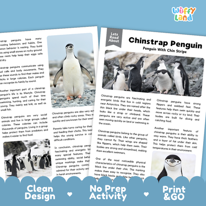 Chinstrap Penguins Reading Passage and Questions Worksheets with Answer Key