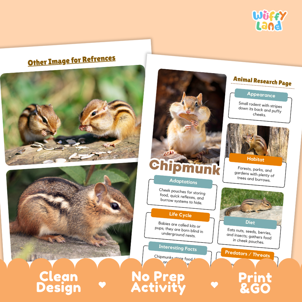 Two printed activity sheets for a chipmunk research project, shown on a peach background with promotional text reading 'Clean Design,' 'No Prep Activity,' and 'Print & GO.' The sheets contain animal photos, labeled sections about chipmunks, and a 'Wiffly Land' logo in the top right.