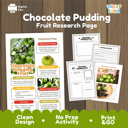 Chocolate Pudding Fruit Research Page Worksheets and Fact Sheet