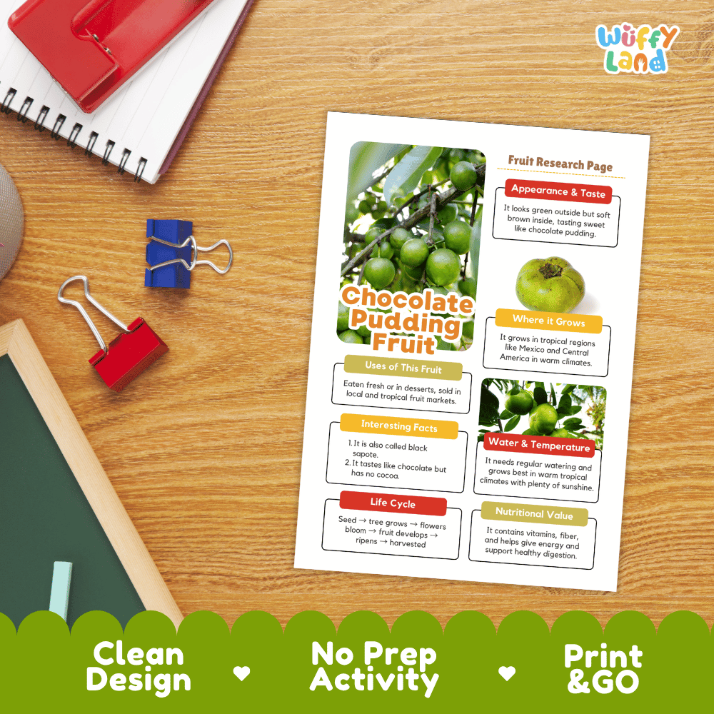 Chocolate Pudding Fruit Research Page Worksheets and Fact Sheet