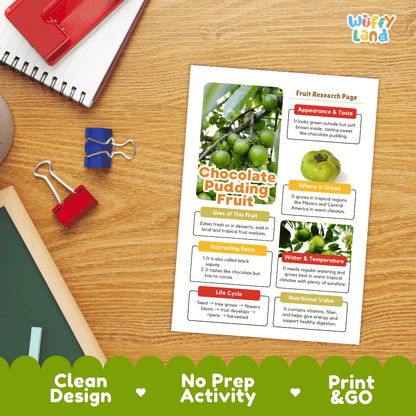 Chocolate Pudding Fruit Research Page Worksheets and Fact Sheet