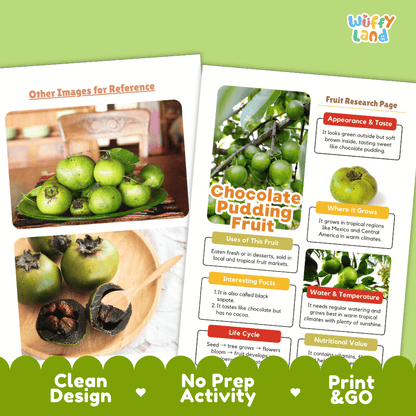Chocolate Pudding Fruit Research Page Worksheets and Fact Sheet