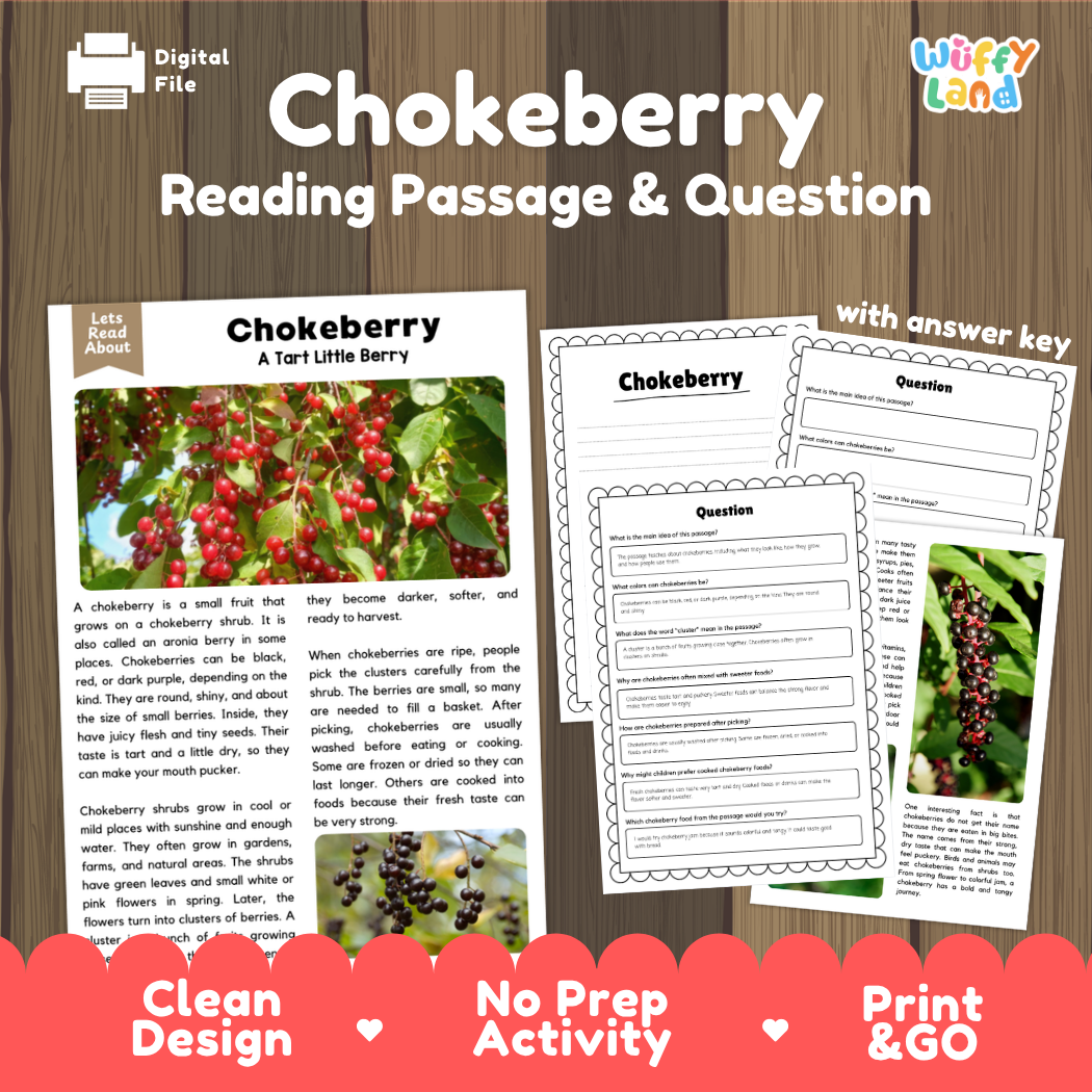 Chokeberry reading comprehension passage and questions printable activity pack with answer key for elementary students