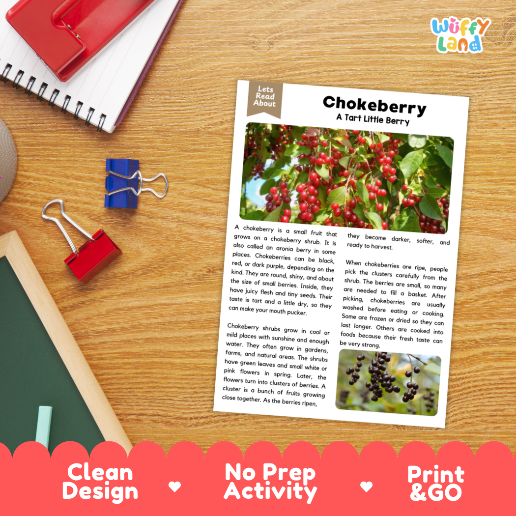 Student reading comprehension worksheet with short-answer questions and lined sections about chokeberries