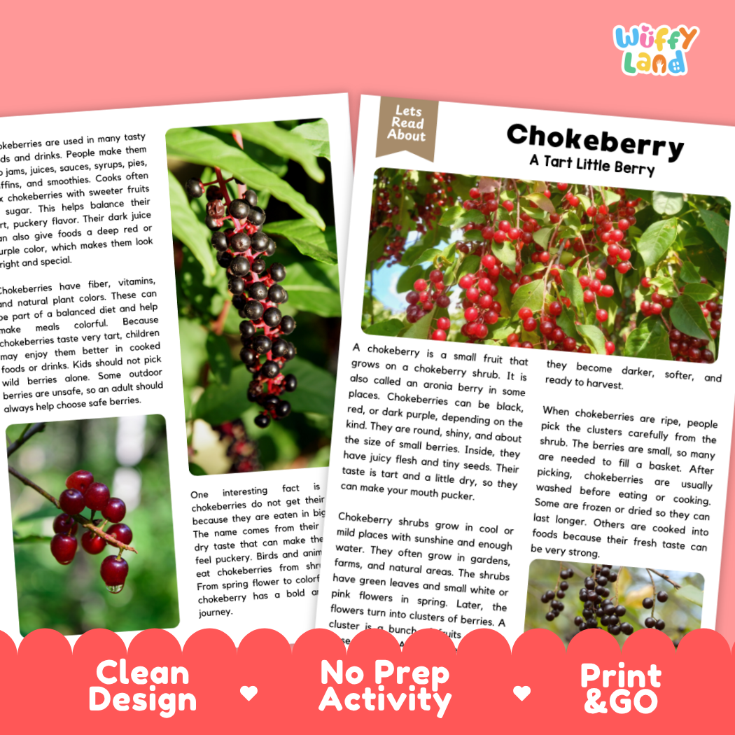 Teacher answer key page showing complete question solutions for chokeberry reading comprehension practice