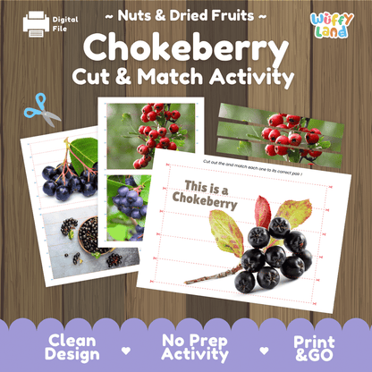 Chokeberry Cut and Match Activity Worksheets | Nuts and Dried Fruits Puzzle Printables