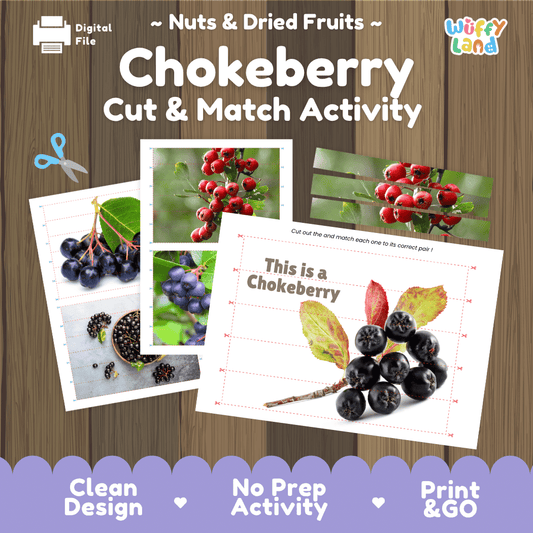 Chokeberry Cut and Match Activity Worksheets | Nuts and Dried Fruits Puzzle Printables