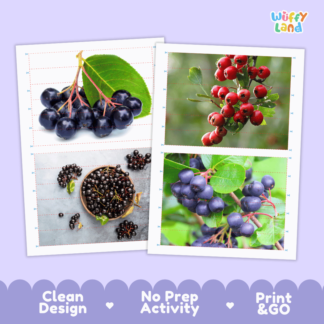 Chokeberry Cut and Match Activity Worksheets | Nuts and Dried Fruits Puzzle Printables