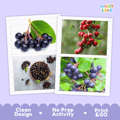 Chokeberry Cut and Match Activity Worksheets | Nuts and Dried Fruits Puzzle Printables