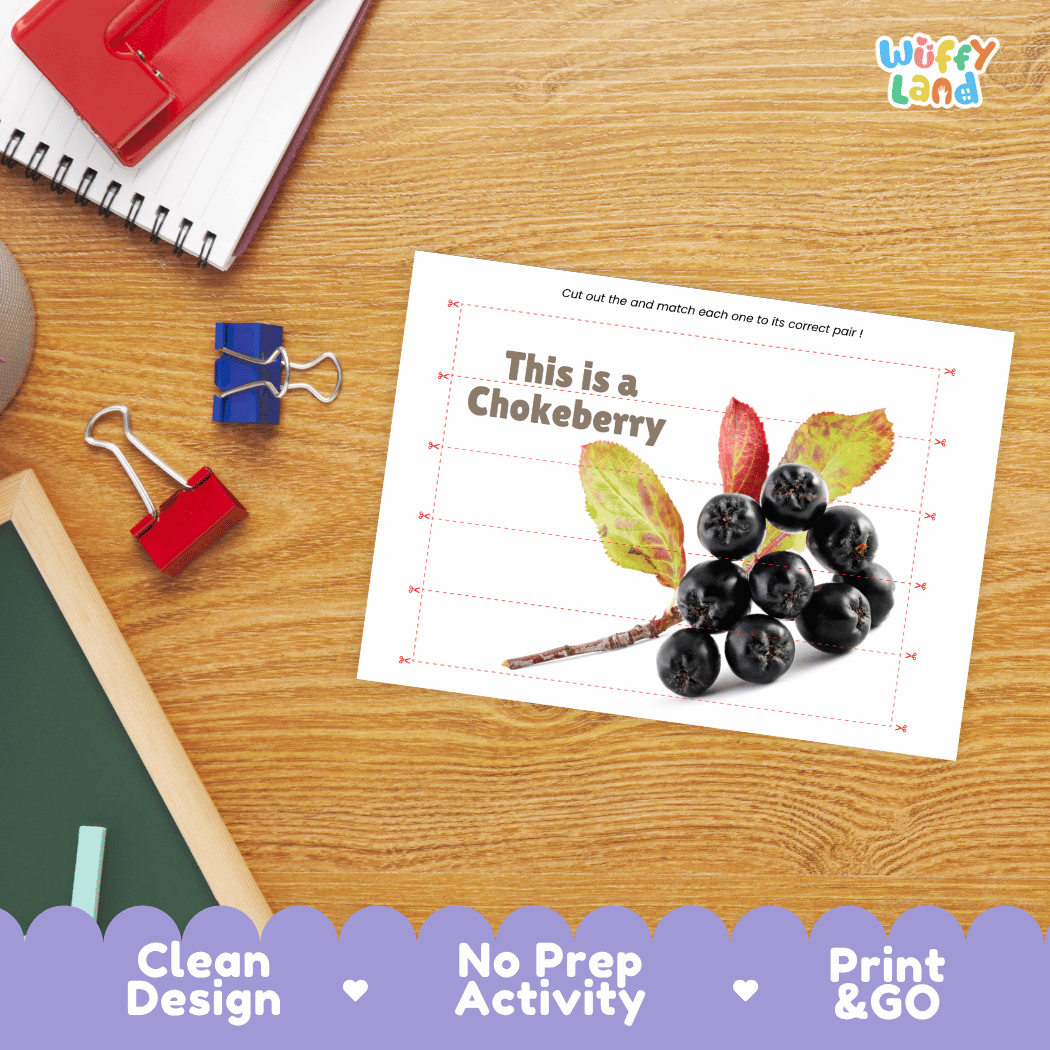 Chokeberry Cut and Match Activity Worksheets | Nuts and Dried Fruits Puzzle Printables