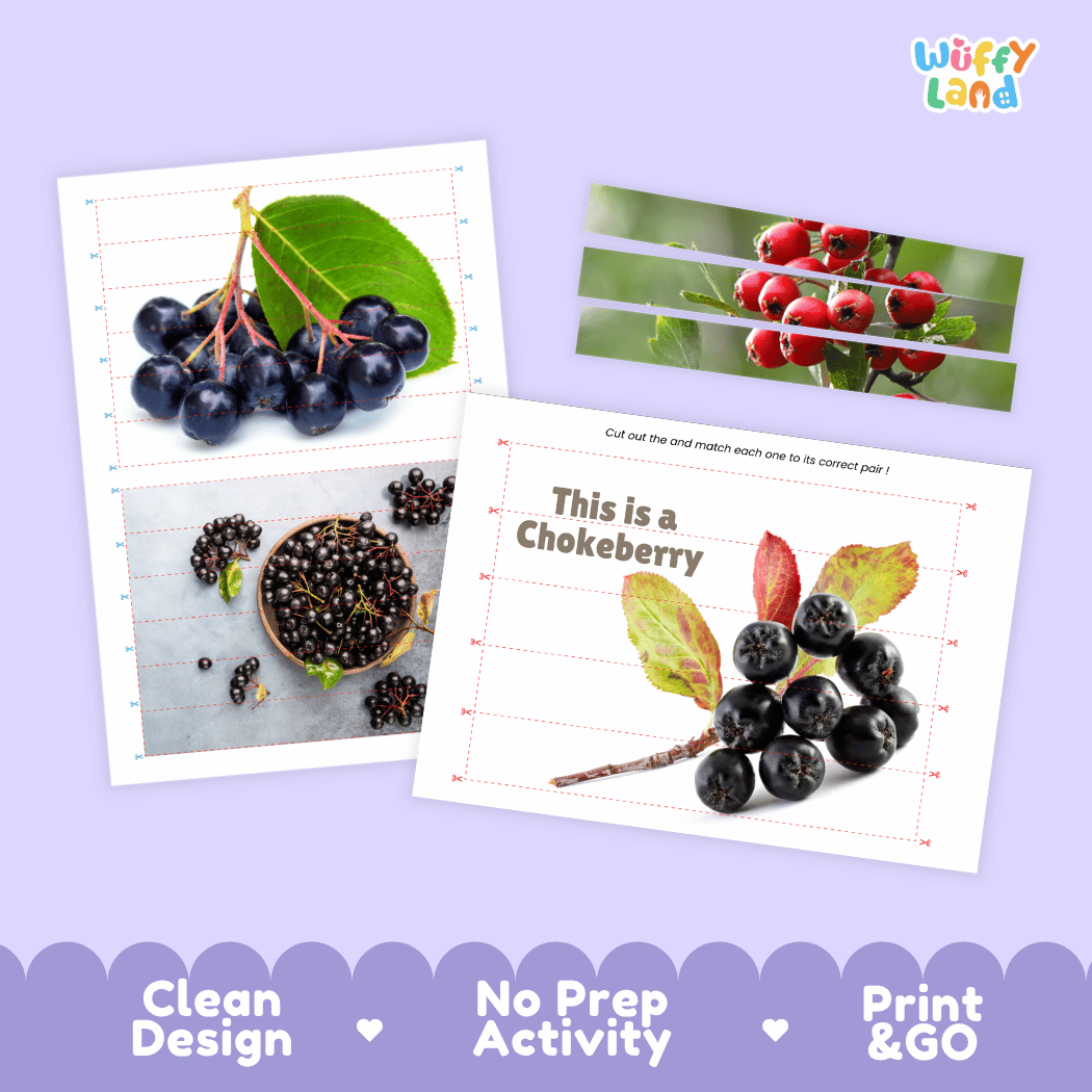 Chokeberry Cut and Match Activity Worksheets | Nuts and Dried Fruits Puzzle Printables