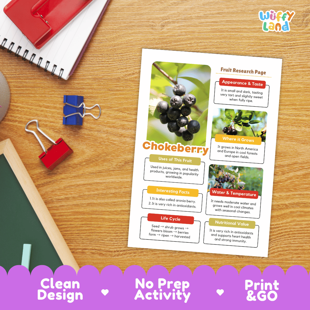 Chokeberry Fruit Research Page Worksheets and Fact Sheet