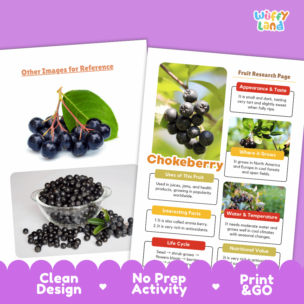 Chokeberry Fruit Research Page Worksheets and Fact Sheet