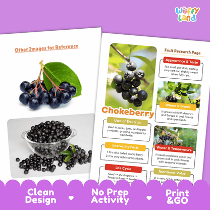Chokeberry Fruit Research Page Worksheets and Fact Sheet