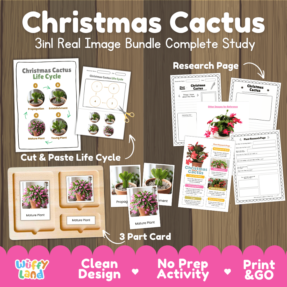 Christmas cactus plant 3in1 real image bundle complete study printable featuring life cycle cut and paste worksheets, Montessori 3-part cards, and research pages