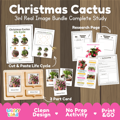 Christmas cactus plant 3in1 real image bundle complete study printable featuring life cycle cut and paste worksheets, Montessori 3-part cards, and research pages