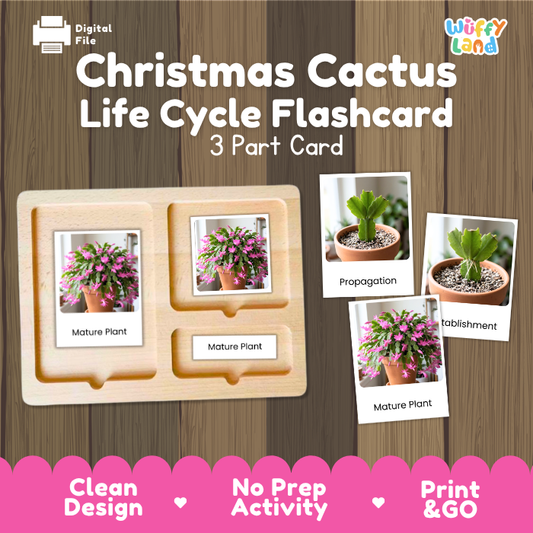 Montessori three part cards featuring real photographic images of Christmas cactus growth stages and blooming mature plants displayed on a wooden tray