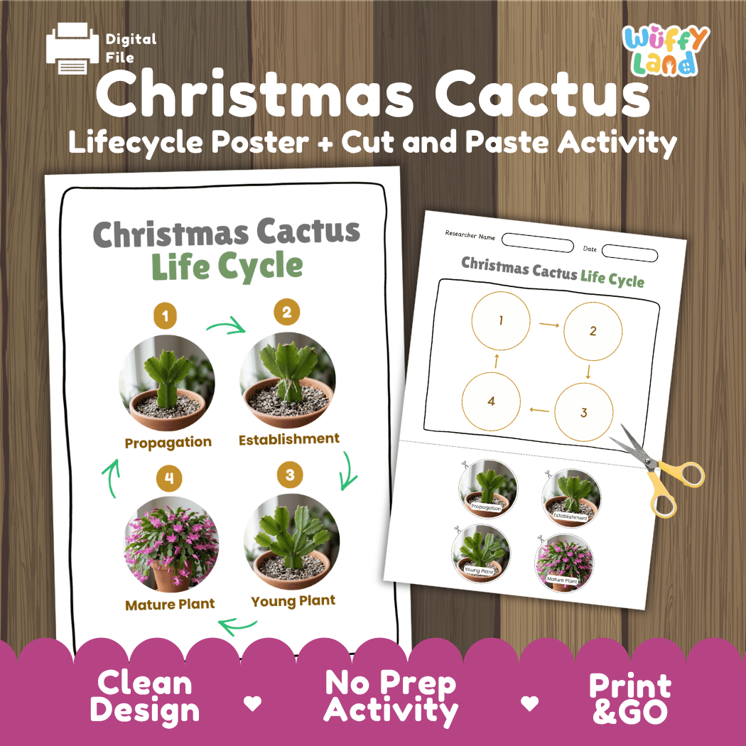 Christmas Cactus Life Cycle Poster and Cut and Paste Worksheet Activity