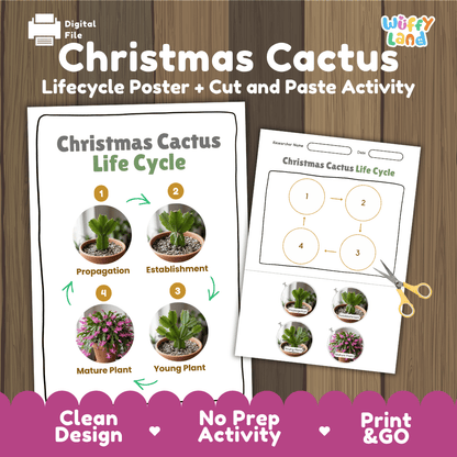 Christmas Cactus Life Cycle Poster and Cut and Paste Worksheet Activity