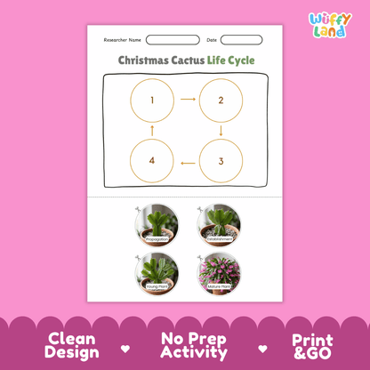 Christmas Cactus Life Cycle Poster and Cut and Paste Worksheet Activity