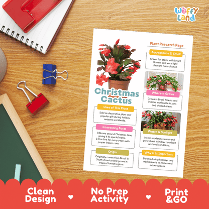 Christmas Cactus Plant Research Pages and Worksheets