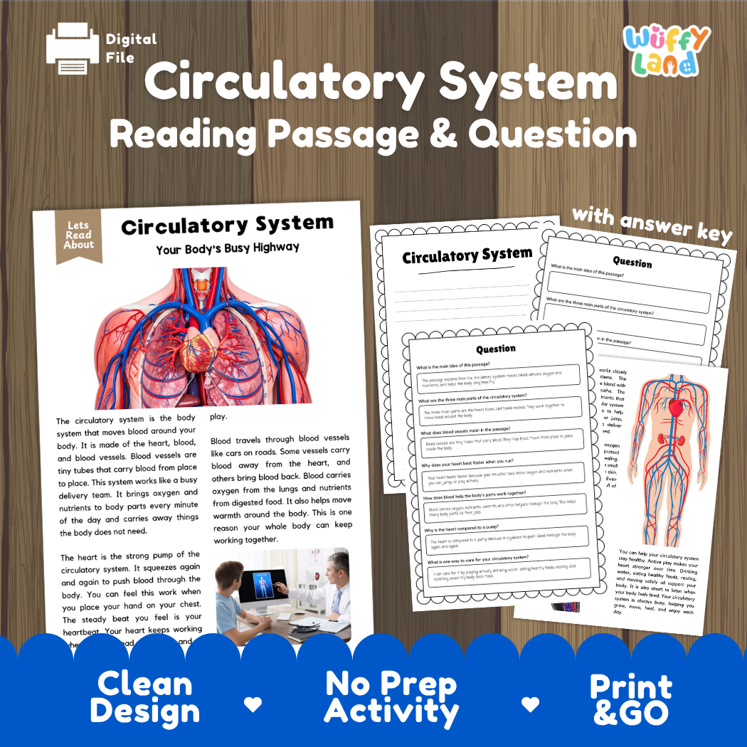 Circulatory system reading comprehension passage and questions printable activity pack with answer key for elementary students