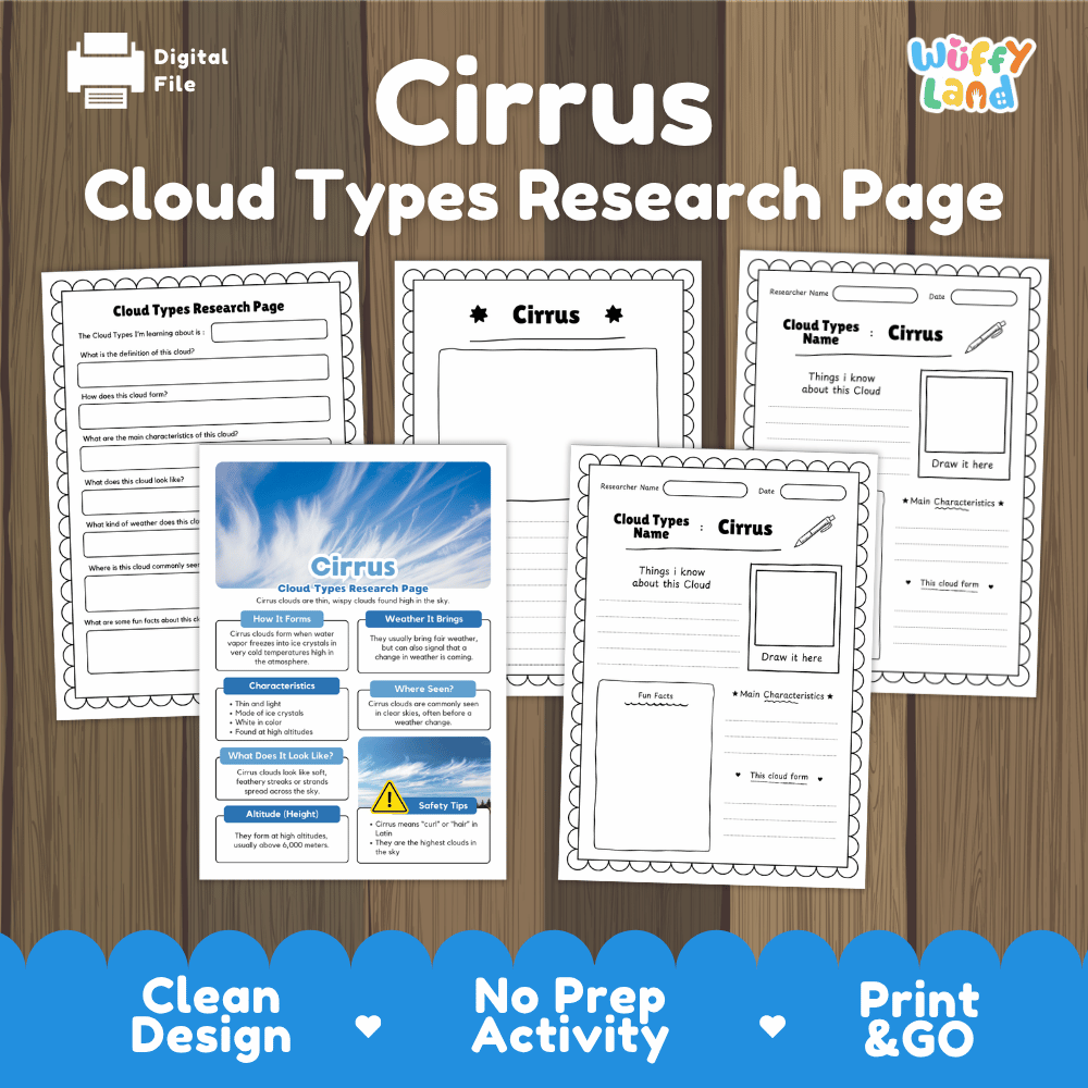 Cirrus Cloud Types Research Page Worksheets Weather Science Activity