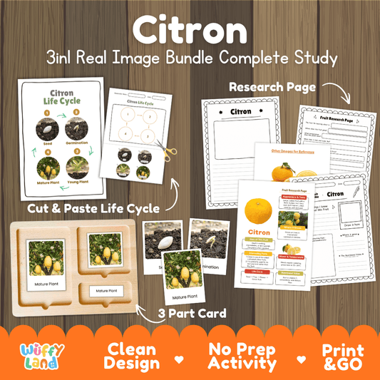 Complete Citron 3-in-1 real image study bundle featuring cut and paste worksheets, Montessori 3-part cards, and research pages 🍋🌱