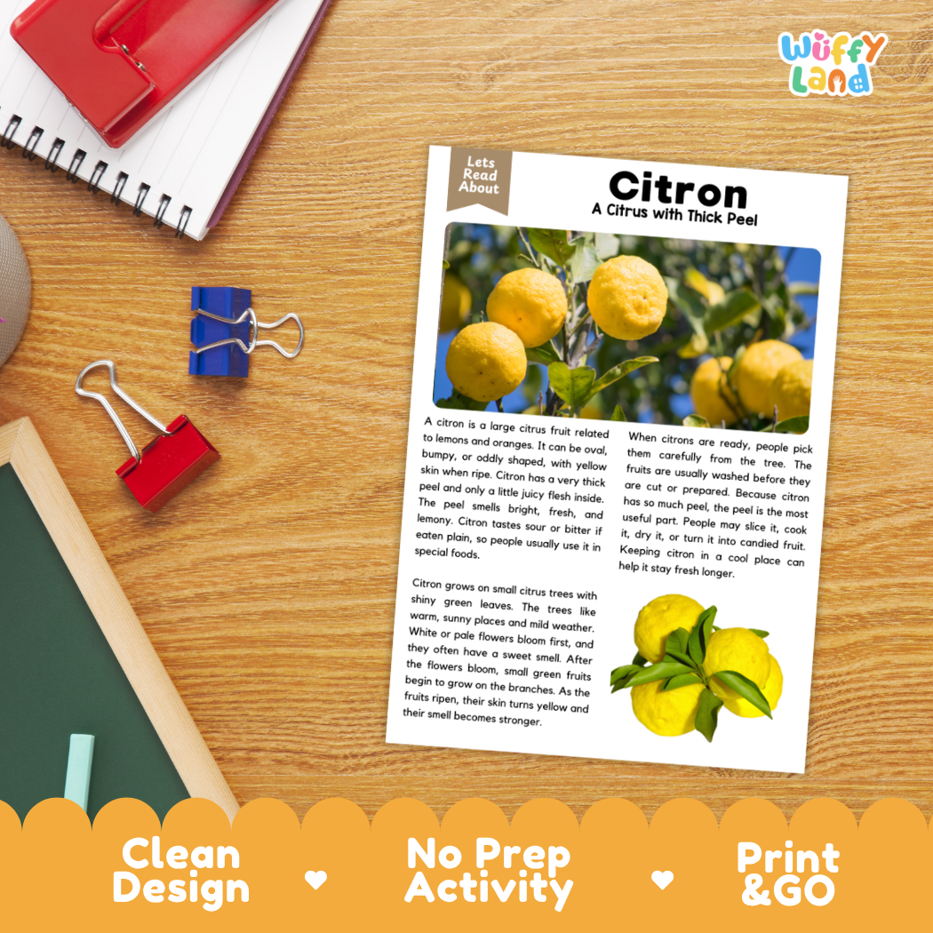 Student reading comprehension worksheet with short-answer questions and lined sections about citron citrus fruit