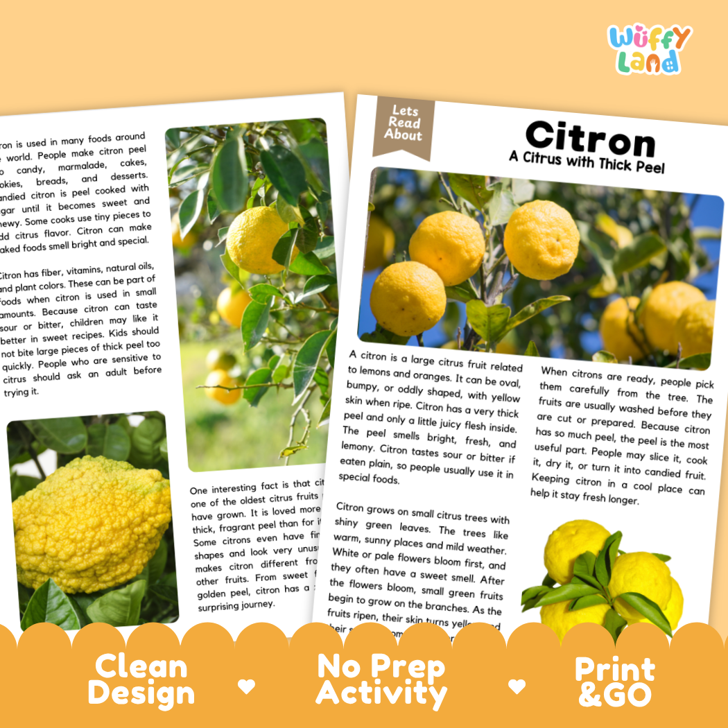 Teacher answer key page showing complete question solutions for citron reading comprehension practice